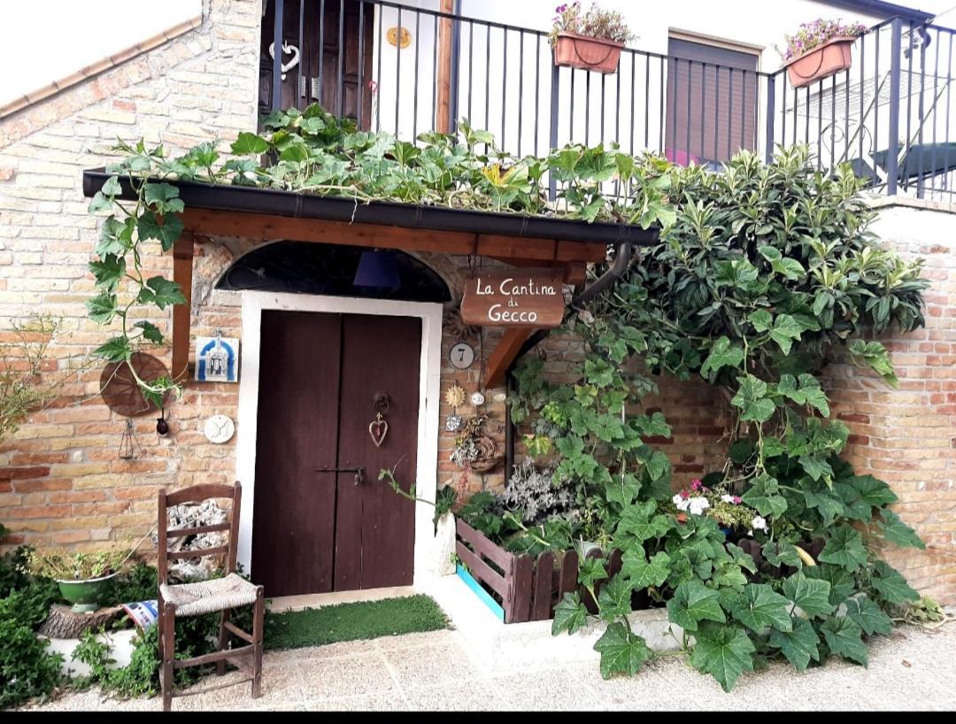 B&B La Casa In Campagna Collecorvino Zewnętrze zdjęcie