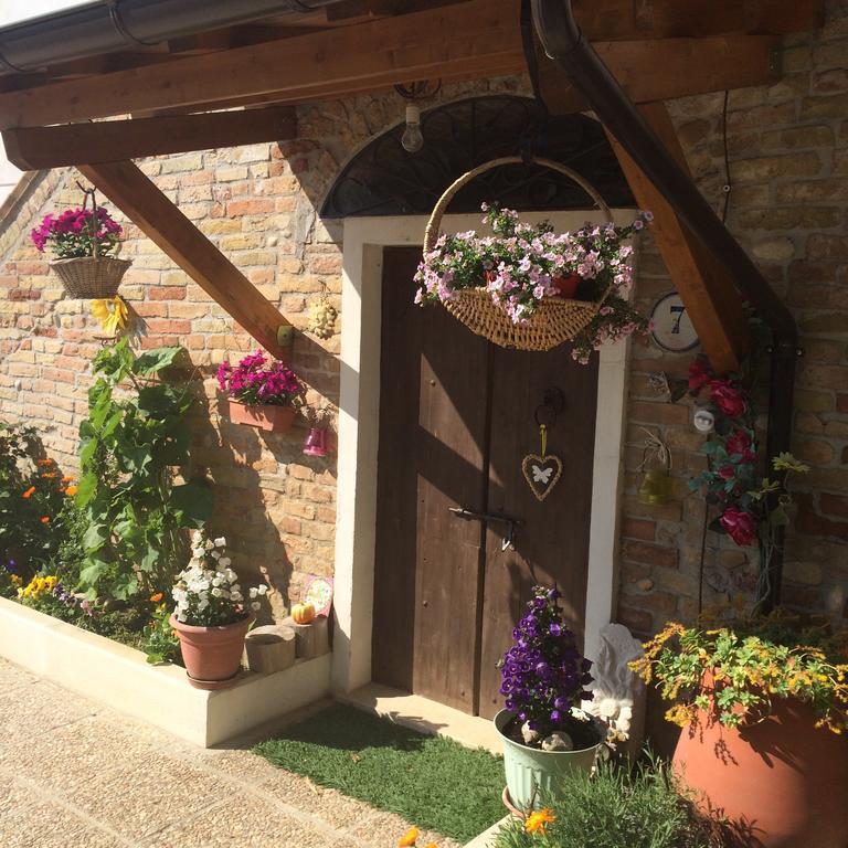 B&B La Casa In Campagna Collecorvino Zewnętrze zdjęcie