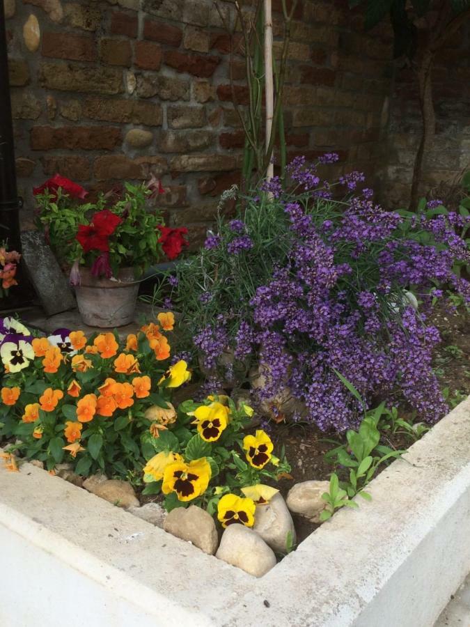 B&B La Casa In Campagna Collecorvino Zewnętrze zdjęcie