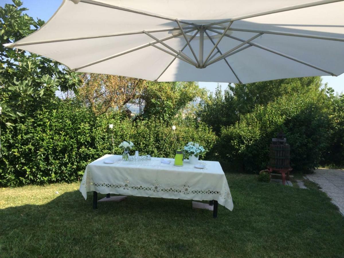 B&B La Casa In Campagna Collecorvino Zewnętrze zdjęcie